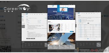 成都网站策划设计开发维护推广一体化解决方案 专业与责任并重的企业伙伴